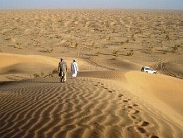 Spuren im Sand