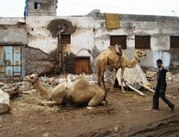 Armenviertel in Aden